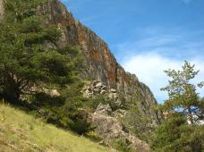 Klik za večjo sliko